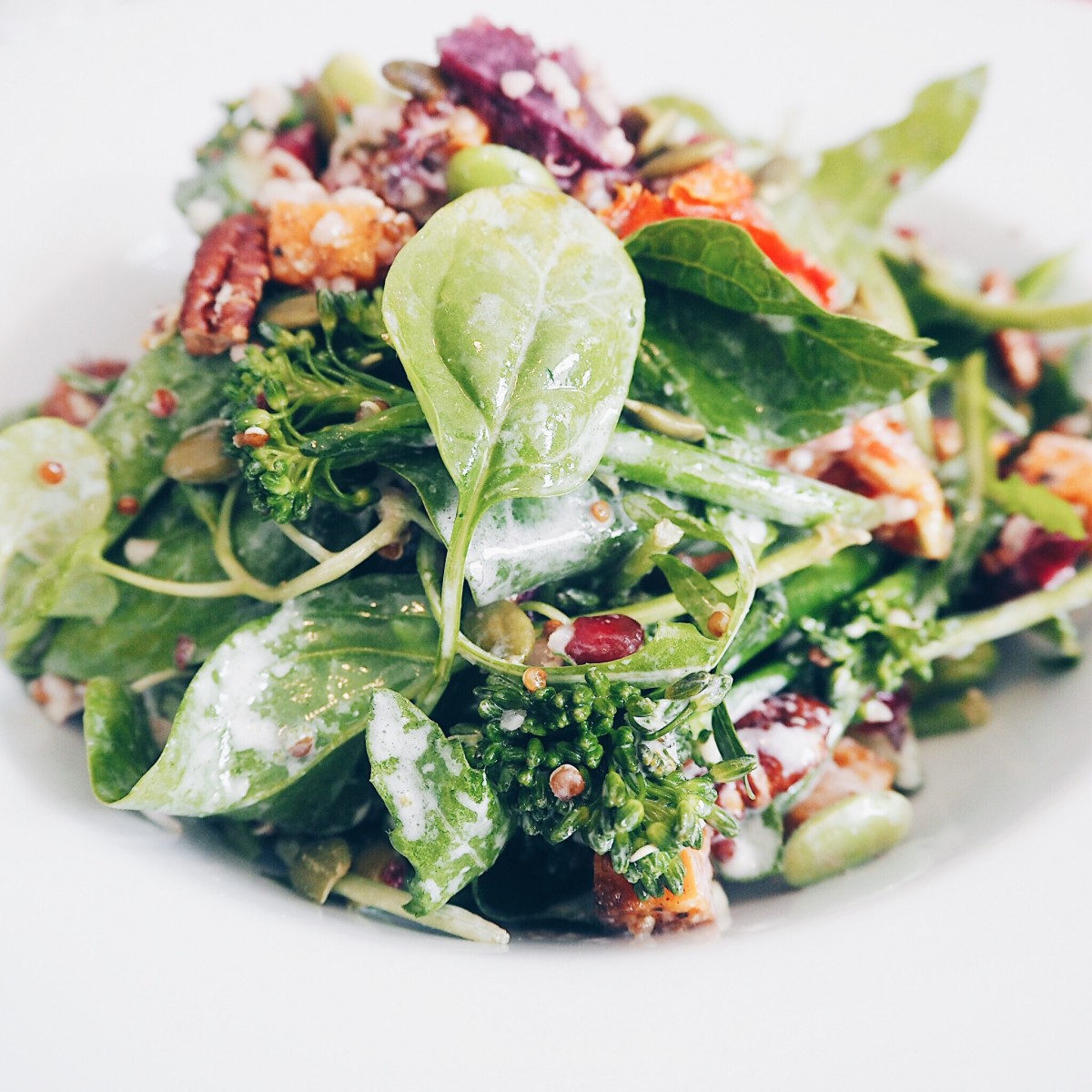 Eat Kaizen | Veg Out Altrincham | Jacinta Dawn Russell